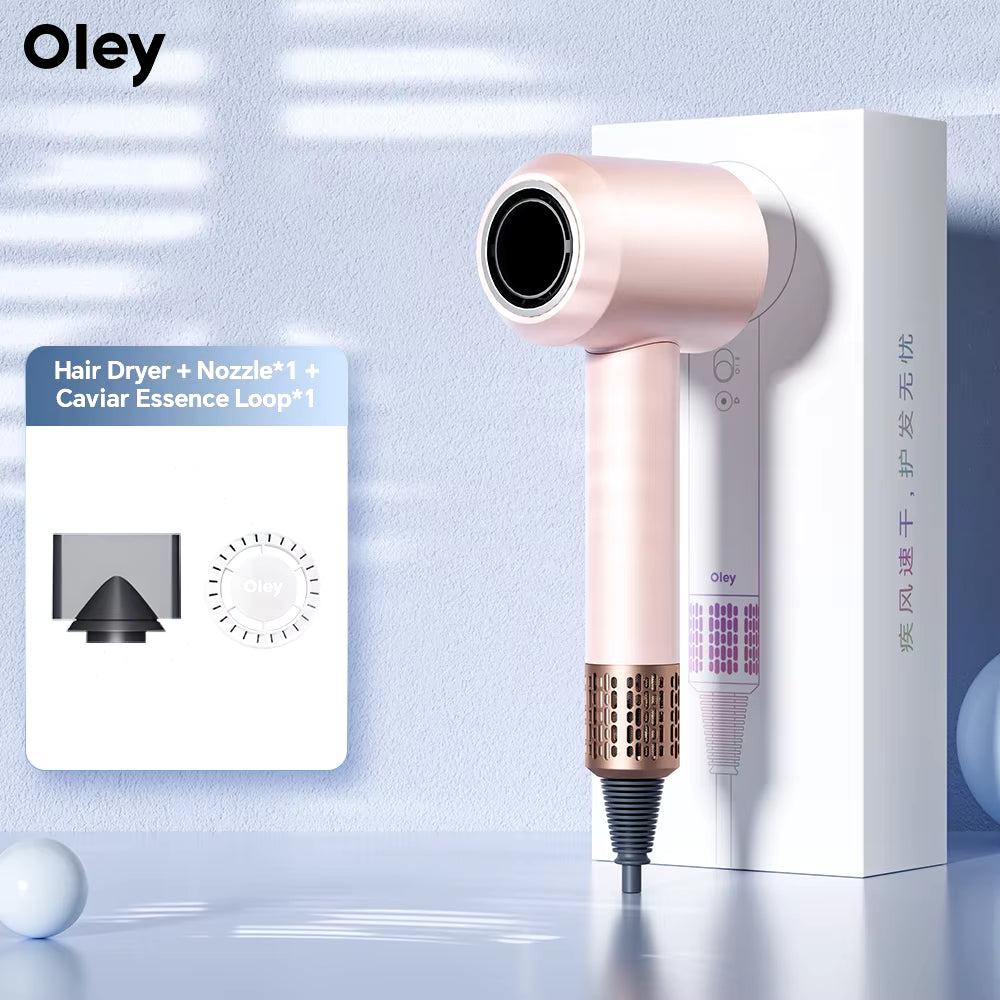 High-Speed Hair Dryer 900W Lightweight Powerful Brushless Motor Low Noise Quick Dryer Negative Ionic Blow Dryer