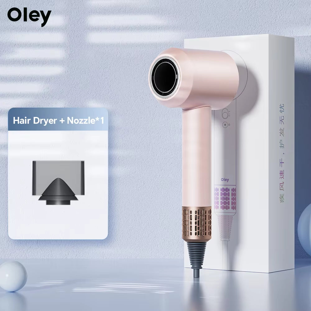 High-Speed Hair Dryer 900W Lightweight Powerful Brushless Motor Low Noise Quick Dryer Negative Ionic Blow Dryer